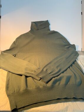 Loro Piana- Baby Cashmere Sz 48 Sage Green Turtleneck NWOT